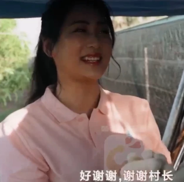 百度新传媒作品合集视频，27部15v9.1g