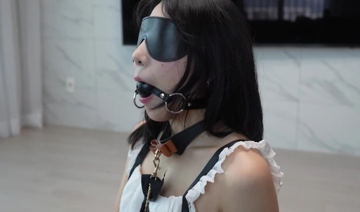 RinYu互动绿M视频13部合集20G