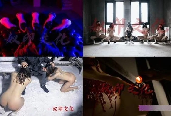 奴印文化神作51V隐匿版1.2G