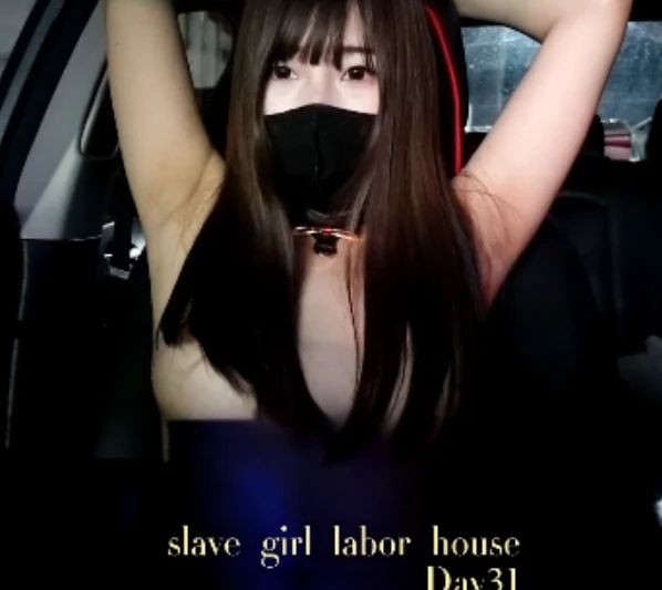 奴隶物语指教实拍合集51部2.2G