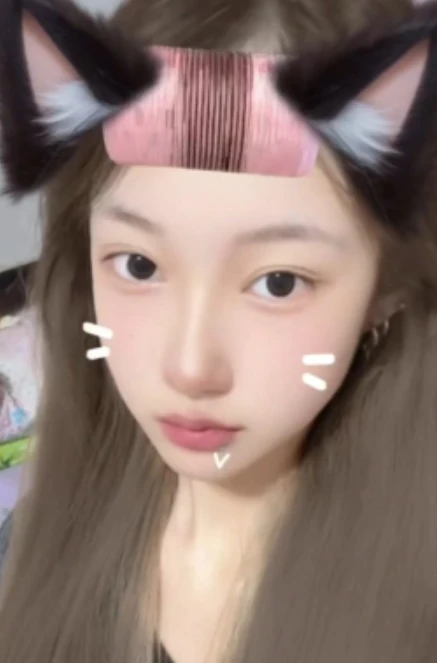 黑猫私奴日记31V合集3.75G