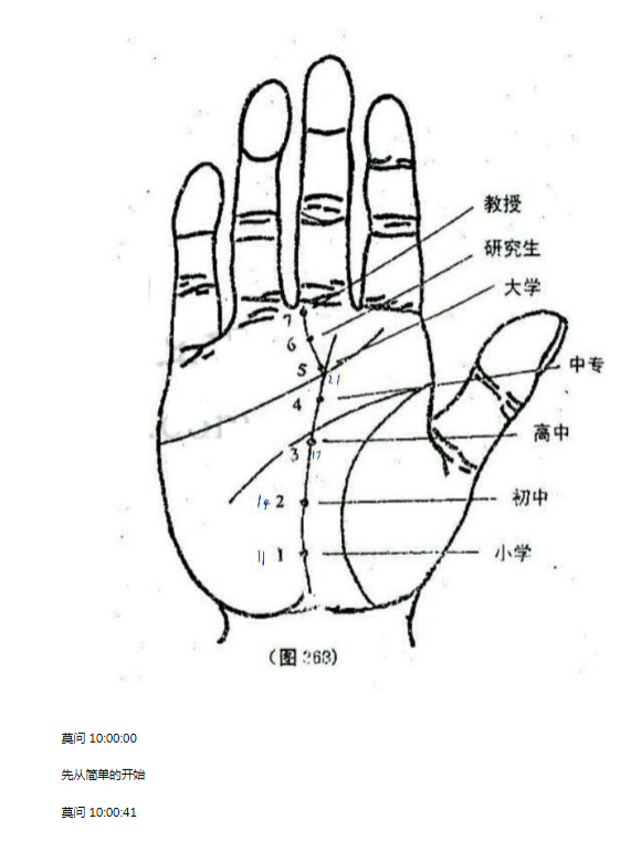 莫问手相培训PDF网盘下载（134页·掌纹掌型图解+实战断法）
