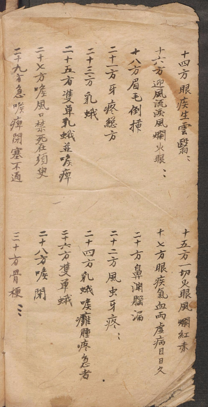 《德国柏林图书馆手抄郎中经验方》完整高清PDF 古籍善本珍藏