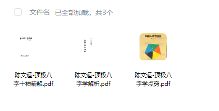 陈文遥《顶极八字三册》