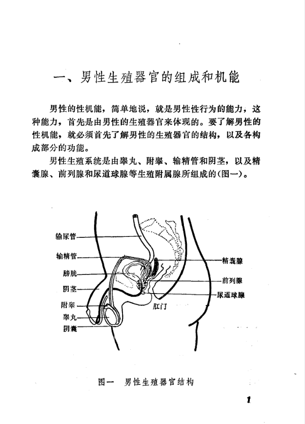 《男性性机能障碍》张秉琪编著，男性性功能障碍病因诊断与防治全解 共66页