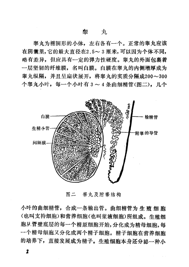 《男性性机能障碍》张秉琪编著，男性性功能障碍病因诊断与防治全解 共66页