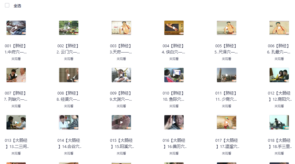 《穴位一病一讲》232集全 杏林医学苑出品，零基础自学人体250个穴位，中医穴位实用课程