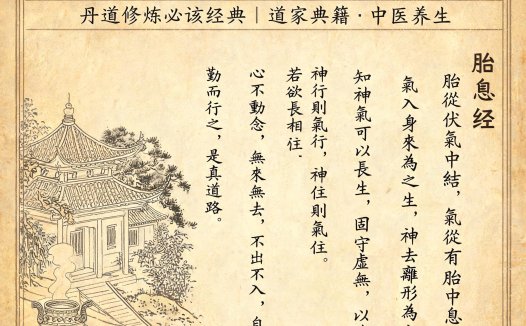 《胎息经》完整版PDF（366页全本），丹道修炼必读经典