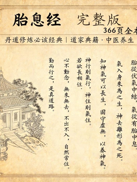 《胎息经》完整版PDF（366页全本），丹道修炼必读经典